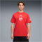 PUMA ÖFB Österreich ftblCulture Relaxed T-Shirt Herren 20 - burnt red/puma white S
