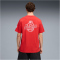 PUMA ÖFB Österreich ftblCulture Relaxed T-Shirt Herren 20 - burnt red/puma white S