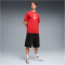 PUMA ÖFB Österreich ftblCulture Relaxed T-Shirt Herren 20 - burnt red/puma white S