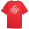 PUMA ÖFB Österreich ftblCulture Relaxed T-Shirt Herren 20 - burnt red/puma white S
