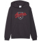 PUMA ÖFB Österreich FtblCulture Hoodie Kinder 25 - flat dark gray/puma white 128