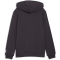 PUMA ÖFB Österreich FtblCulture Hoodie Kinder 25 - flat dark gray/puma white 128