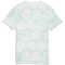 PUMA ÖFB Österreich FtblCulture Allover Print T-Shirt Kinder 18 - PUMA white/modern mint 128