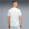 PUMA ÖFB Österreich FtblCulture Allover Print T-Shirt Herren 18 - PUMA white/modern mint S