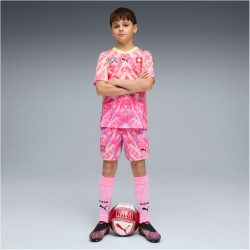 PUMA SFV Schweiz Concept Tortwartshorts 2026 Kinder 90 -...
