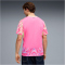 PUMA SFV Schweiz Concept Match Torwarttrikot 2026 Herren 90 - pink pixel/dark amethyst S