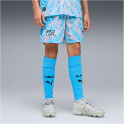 PUMA SFV Schweiz Torwartshorts 2026 Kinder 86 - luminous...