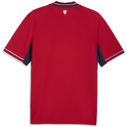 PUMA FACR Tschechien Heimtrikot 2026 Herren 01 - dark...