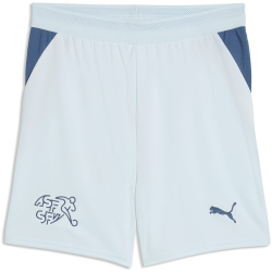 PUMA SFV Schweiz Shorts 2026 Kinder 02 - sea glass/dark...