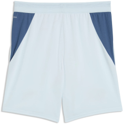 PUMA SFV Schweiz Shorts 2026 Kinder 02 - sea glass/dark...