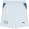 PUMA SFV Schweiz Shorts 2026 Kinder 02 - sea glass/dark indigo 128