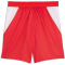 PUMA SFV Schweiz Shorts 2026 Kinder 01 - PUMA red/PUMA white 128