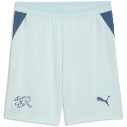 PUMA SFV Schweiz Shorts 2026 Herren 02 - sea glass/dark...