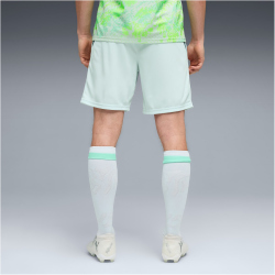 PUMA SFV Schweiz Shorts 2026 Herren 02 - sea glass/dark...