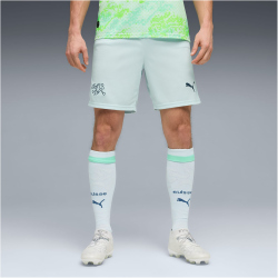 PUMA SFV Schweiz Shorts 2026 Herren 02 - sea glass/dark...