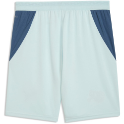 PUMA SFV Schweiz Shorts 2026 Herren 02 - sea glass/dark...