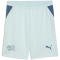 PUMA SFV Schweiz Shorts 2026 Herren 02 - sea glass/dark indigo S