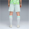 PUMA SFV Schweiz Shorts 2026 Herren 02 - sea glass/dark indigo S