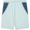 PUMA SFV Schweiz Shorts 2026 Herren 02 - sea glass/dark indigo S
