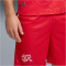 PUMA SFV Schweiz Shorts 2026 Herren 01 - PUMA red/PUMA white S