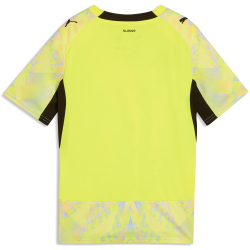 PUMA SFV Schweiz Match Torwarttrikot 2026 Kinder 89 -...