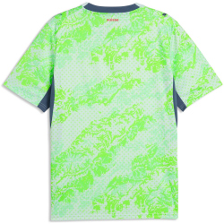 PUMA SFV Schweiz Auswärtstrikot 2026 Herren 02 - sea...