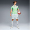 PUMA SFV Schweiz Authentic Auswärtstrikot 2026 Herren 02 - sea glass/dark indigo S