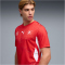 PUMA SFV Schweiz Heimtrikot 2026 Herren 01 - PUMA red/PUMA white S