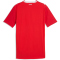 PUMA SFV Schweiz Authentic Heimtrikot 2026 Herren 01 - PUMA red/PUMA white M