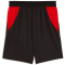 PUMA ÖFB Österreich Shorts 2026 Kinder 03 - PUMA black/PUMA red 116