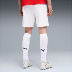 PUMA ÖFB Österreich Shorts 2026 Herren 05 -...