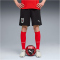 PUMA ÖFB Österreich Shorts 2026 Herren 03 - PUMA black/PUMA red S