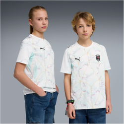 PUMA ÖFB Österreich Auswärtstrikot 2026...