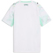 PUMA ÖFB Österreich Auswärtstrikot 2026 Kinder 02 - PUMA white/mint melt 116