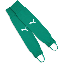 PUMA teamLIGA 26 Core Stegstutzen 05 - sport green/puma...