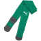 PUMA teamLIGA 26 Core Stutzenstrümpfe 05 - sport green/puma white 31-34