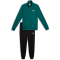 PUMA Essentials Poly Trainingsanzug Herren 41 - emerald ice S