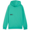 PUMA Sport Relaxed French Terry Hoodie Jungen 40 - vibrant green 128