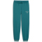 PUMA Class Graphic French Terry Jogginghose Jungen 41 - emerald ice 152
