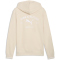 PUMA Class Graphic French Terry Hoodie Herren 87 - alpine snow S