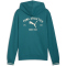 PUMA Class Graphic French Terry Hoodie Herren 41 - emerald ice S