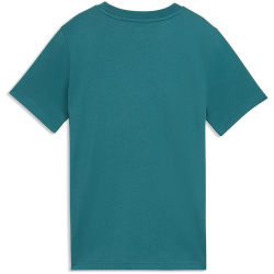 PUMA Graphic Mountain T-Shirt Jungen 41 - emerald ice 128