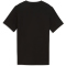 PUMA Graphic Mountain T-Shirt Jungen 01 - PUMA black 128