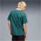 PUMA Class Relaxed Pinnacle Poloshirt Herren 41 - emerald ice S