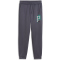 PUMA Active Sports Poly Trainingshose Jungen 69 - galactic gray 128