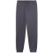 PUMA Active Sports Poly Trainingshose Jungen 69 - galactic gray 128