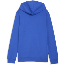 PUMA Essentials 2 Color No.1 Logo French Terry Hoodie Jungen 50 - royal sapphire 176