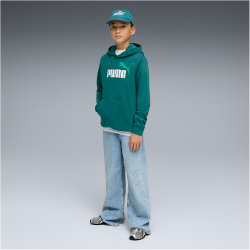 PUMA Essentials 2 Color No.1 Logo French Terry Hoodie...