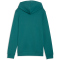 PUMA Essentials 2 Color No.1 Logo French Terry Hoodie Jungen 41 - emerald ice 176