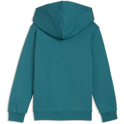 PUMA Essentials No. 1 Logo Fleece Hoodie Jungen 41 - emerald ice 98